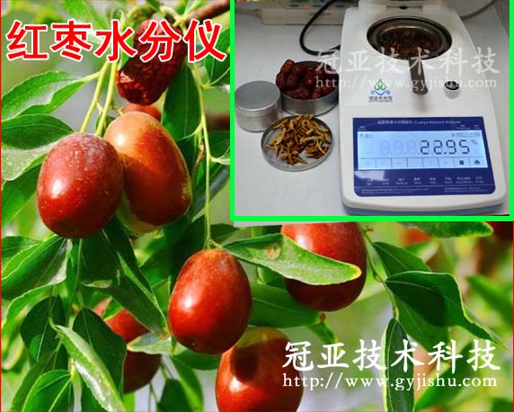 紅棗含水率測(cè)定儀